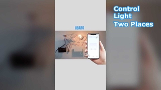 Dual WiFi Switch Control Two Lights Tuya App